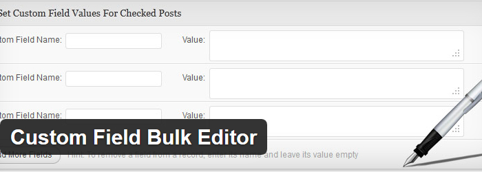 Custom Field Bulk Editor