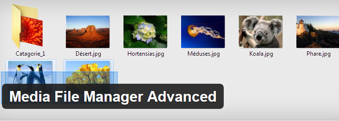 Media File Manager Advanced