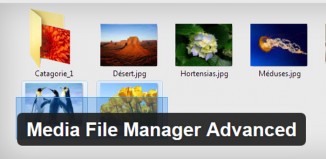 The Best 5 Wordpress File Manager Plugins