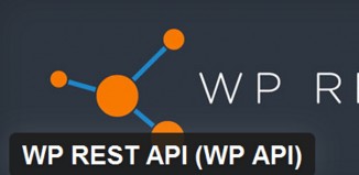 4 Best Free Wordpress API Plugins