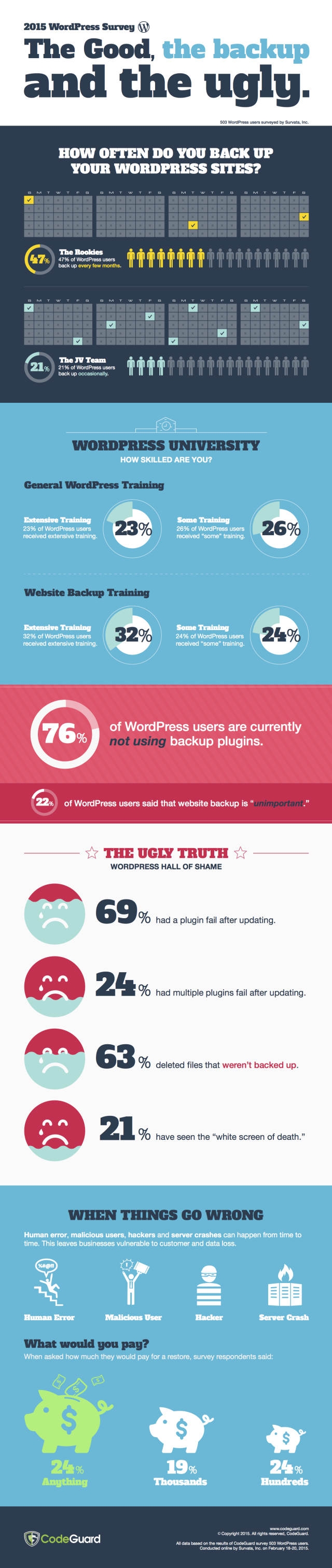 Wordpress Security Infographic